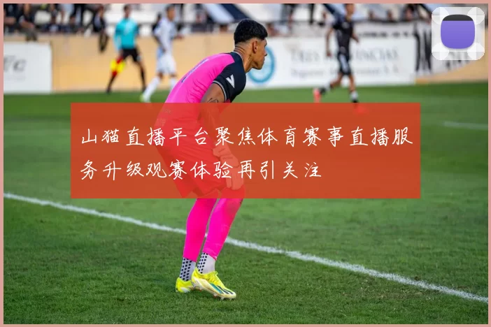 山猫直播平台聚焦体育赛事直播服务升级观赛体验再引关注