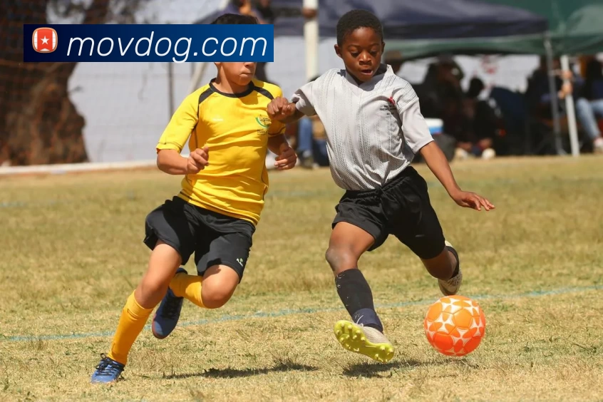 8688体育网(中国)有限公司 - 官网APP 高清赛事图